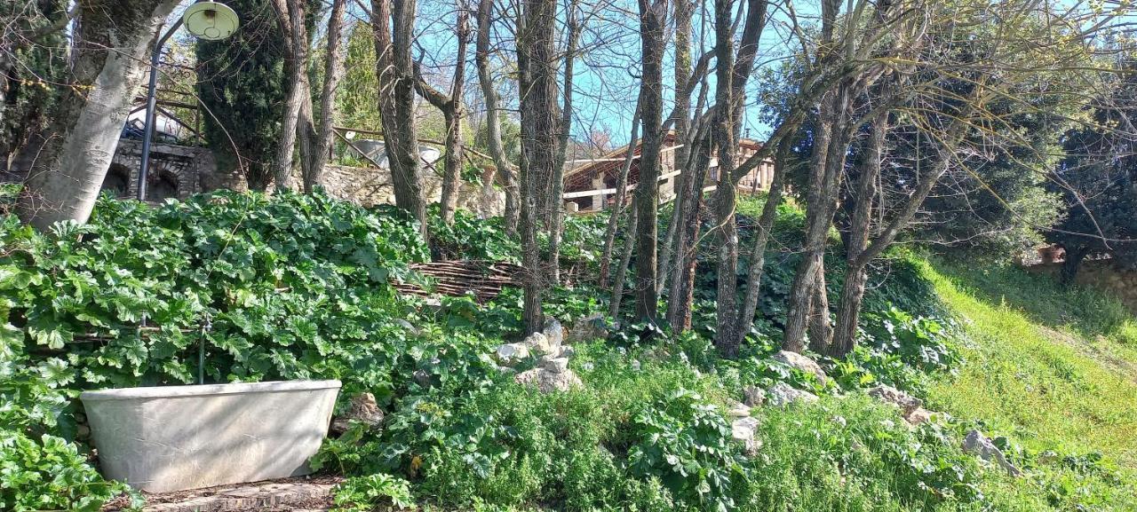 Domus Antiqua Bed & Breakfast 스펠로 외부 사진
