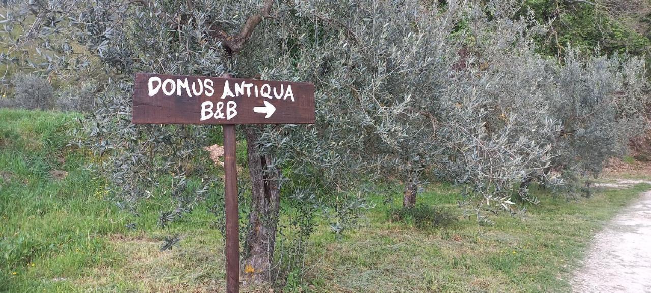 Domus Antiqua Bed & Breakfast 스펠로 외부 사진
