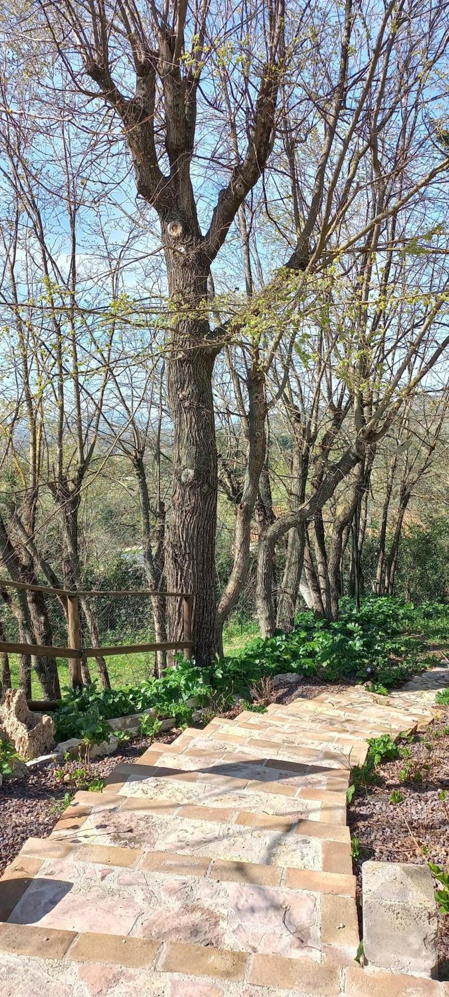 Domus Antiqua Bed & Breakfast 스펠로 외부 사진