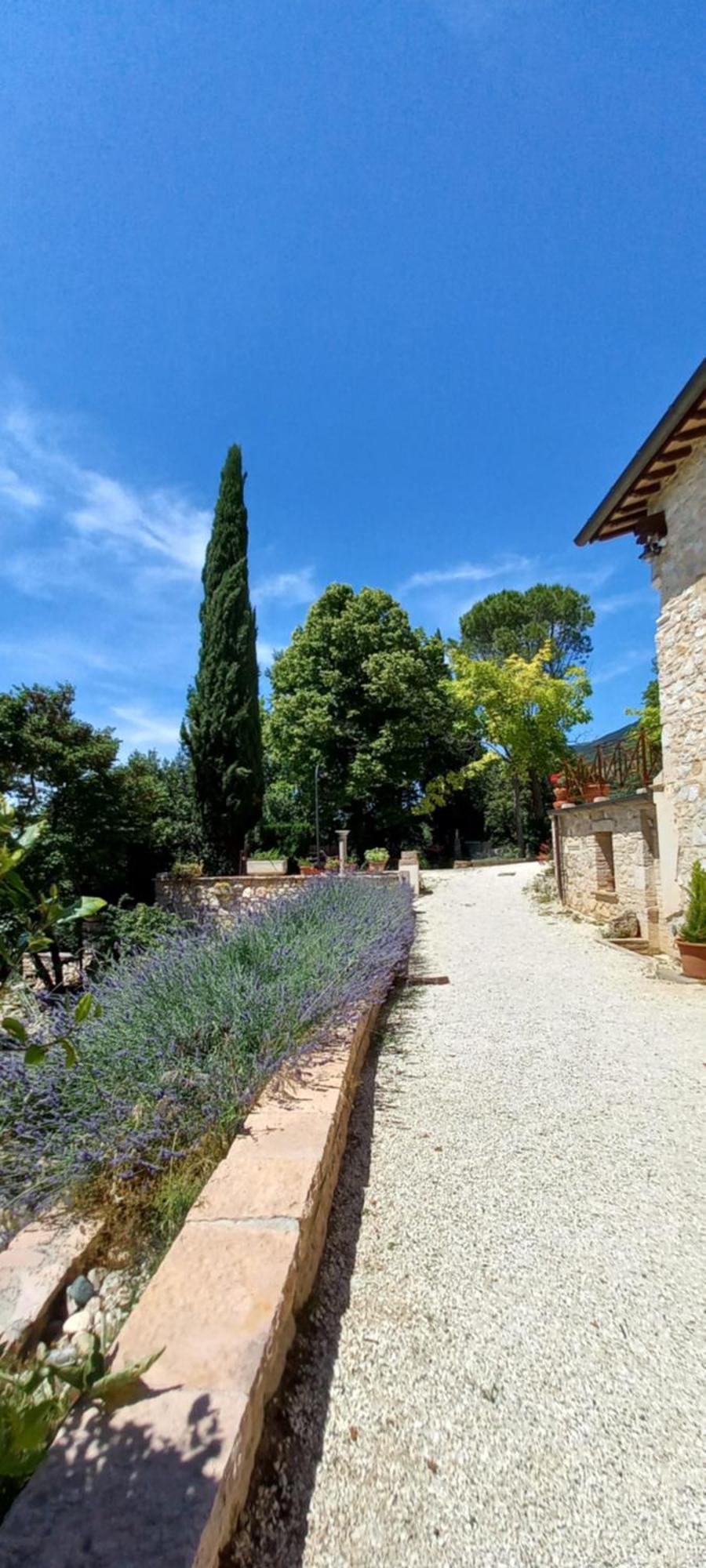 Domus Antiqua Bed & Breakfast 스펠로 외부 사진